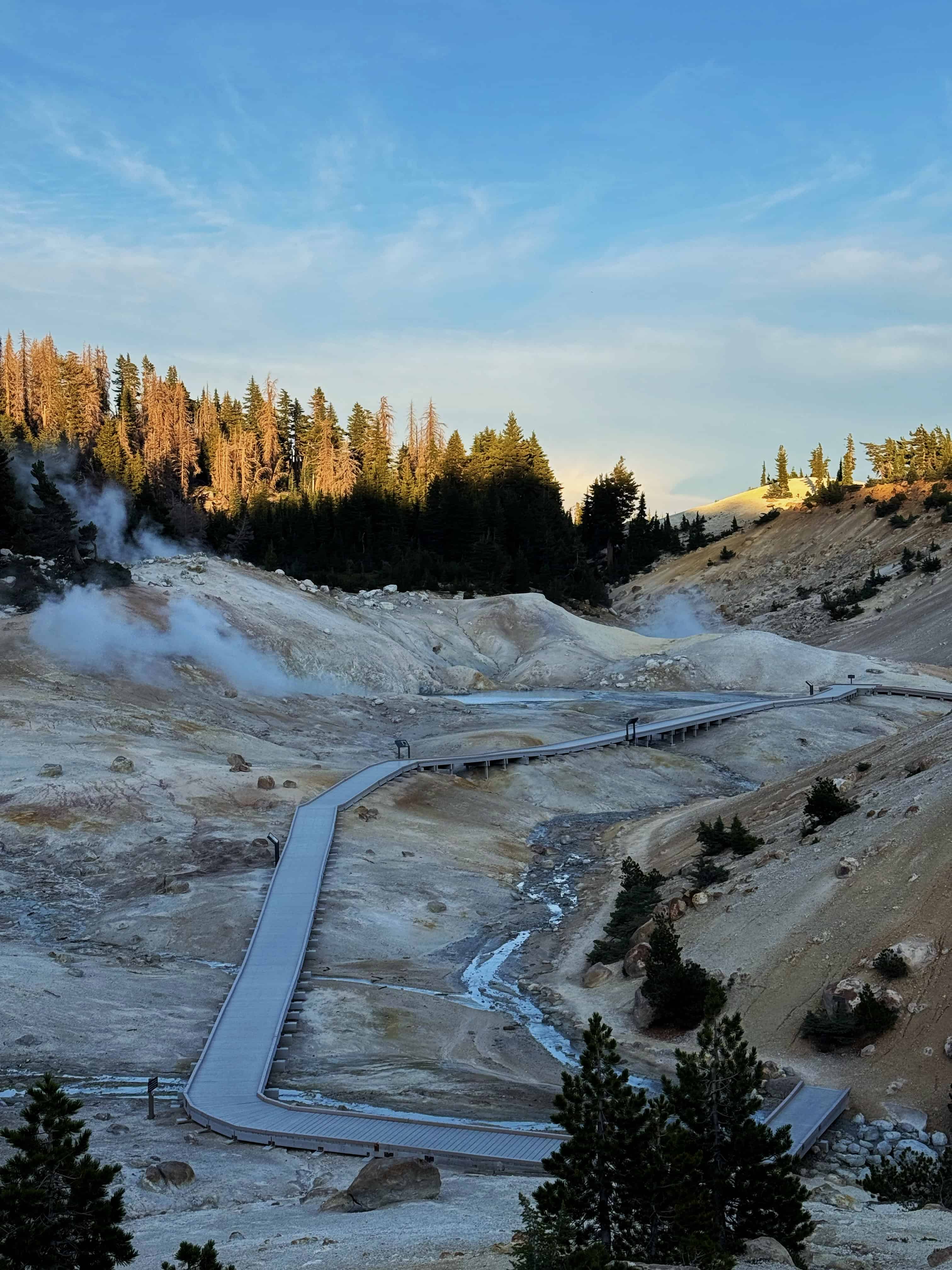 A boardwalk running through a volcanic landscape surrounded by steaming vents, and pine trees under golden hour Lighting on the Bumpass Hell hiking trail in Lassen Volcanic National Park