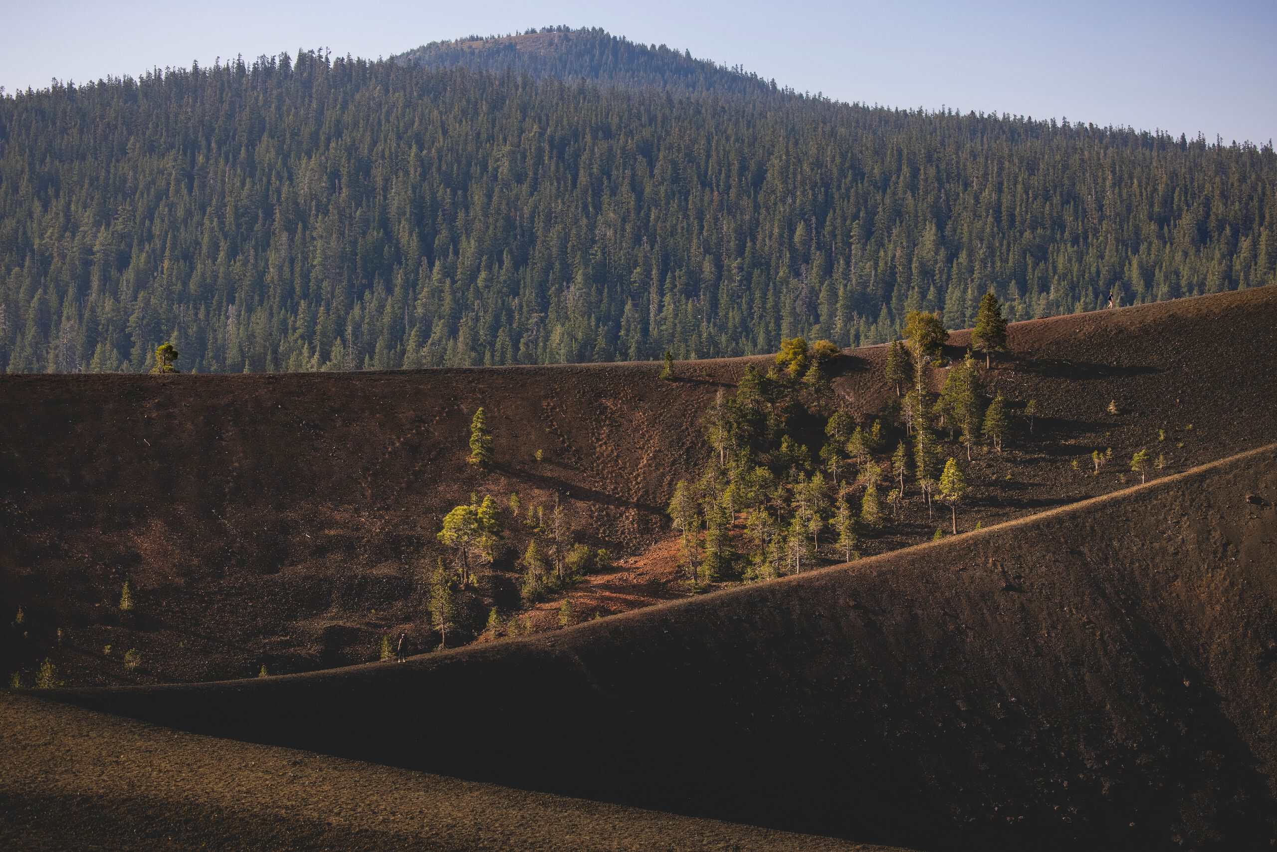 Panoramic shot of a forest surrounding a sunlit crater, showcasing natural beauty.