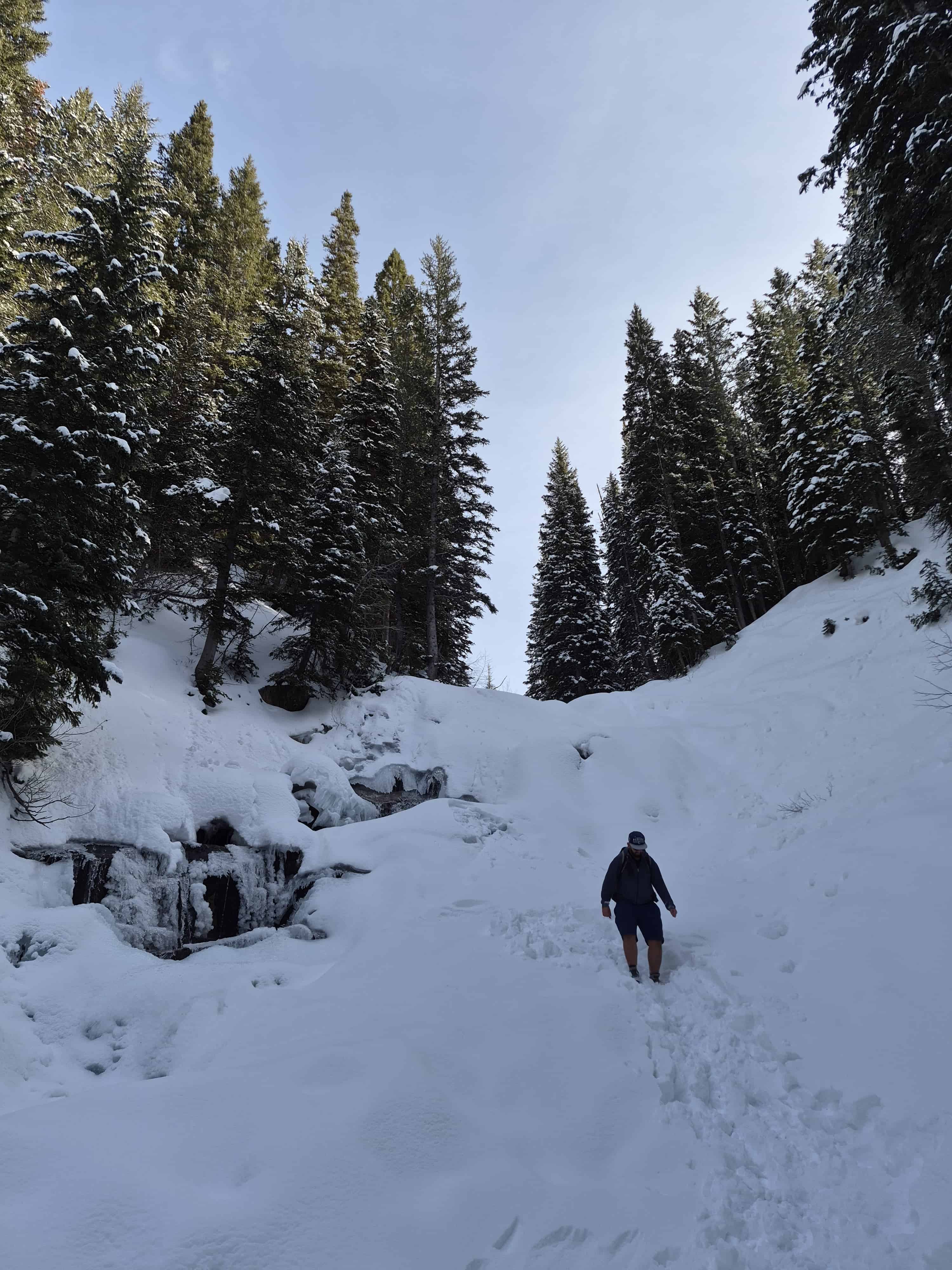 Hiker trekking through deep snow towards a frozen Gloria Falls, surrounded by snow-covered pine trees.