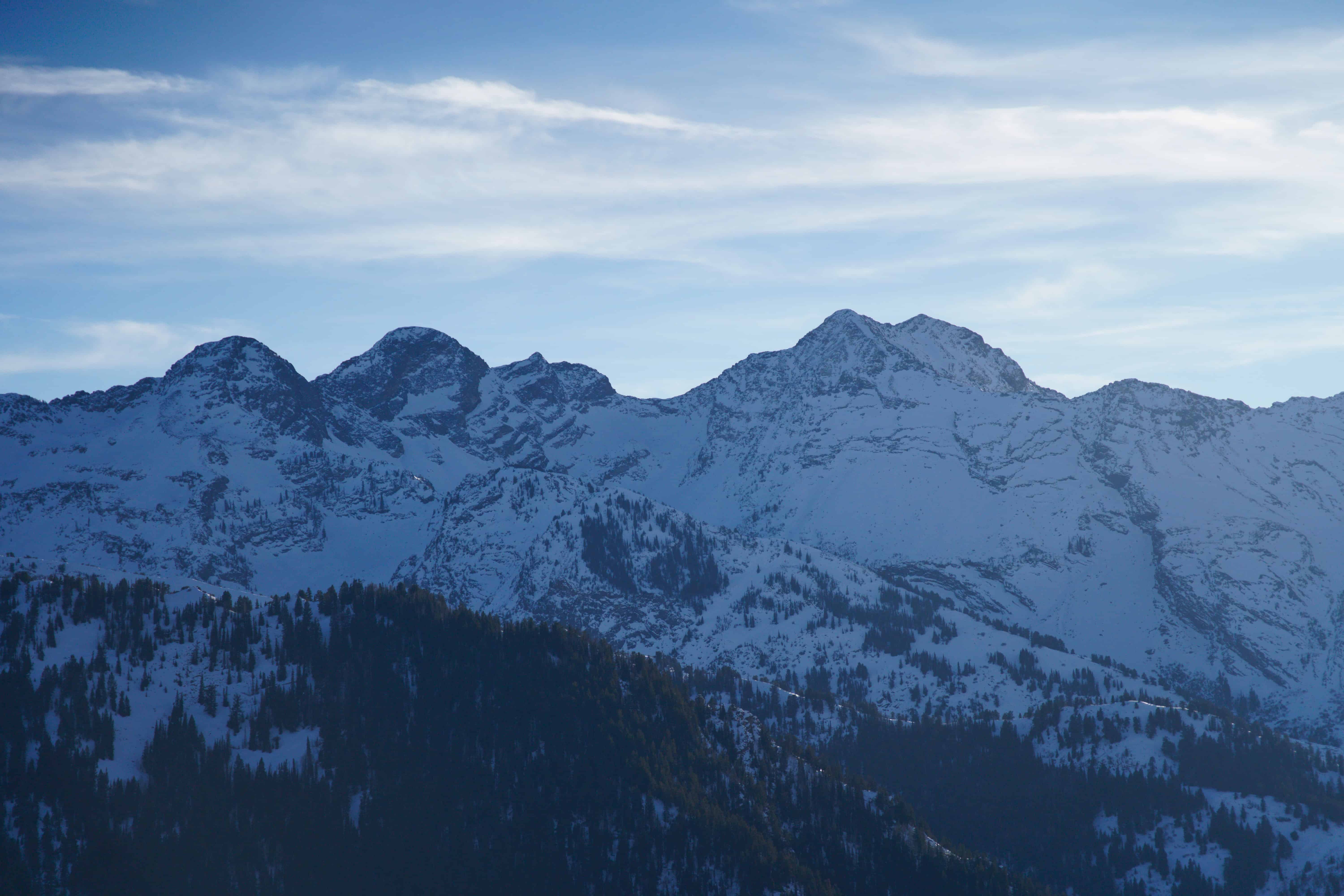 A close up shot of snowy mountains above distant pine forests under a cloudy sky, as viewed from Circle All Peak