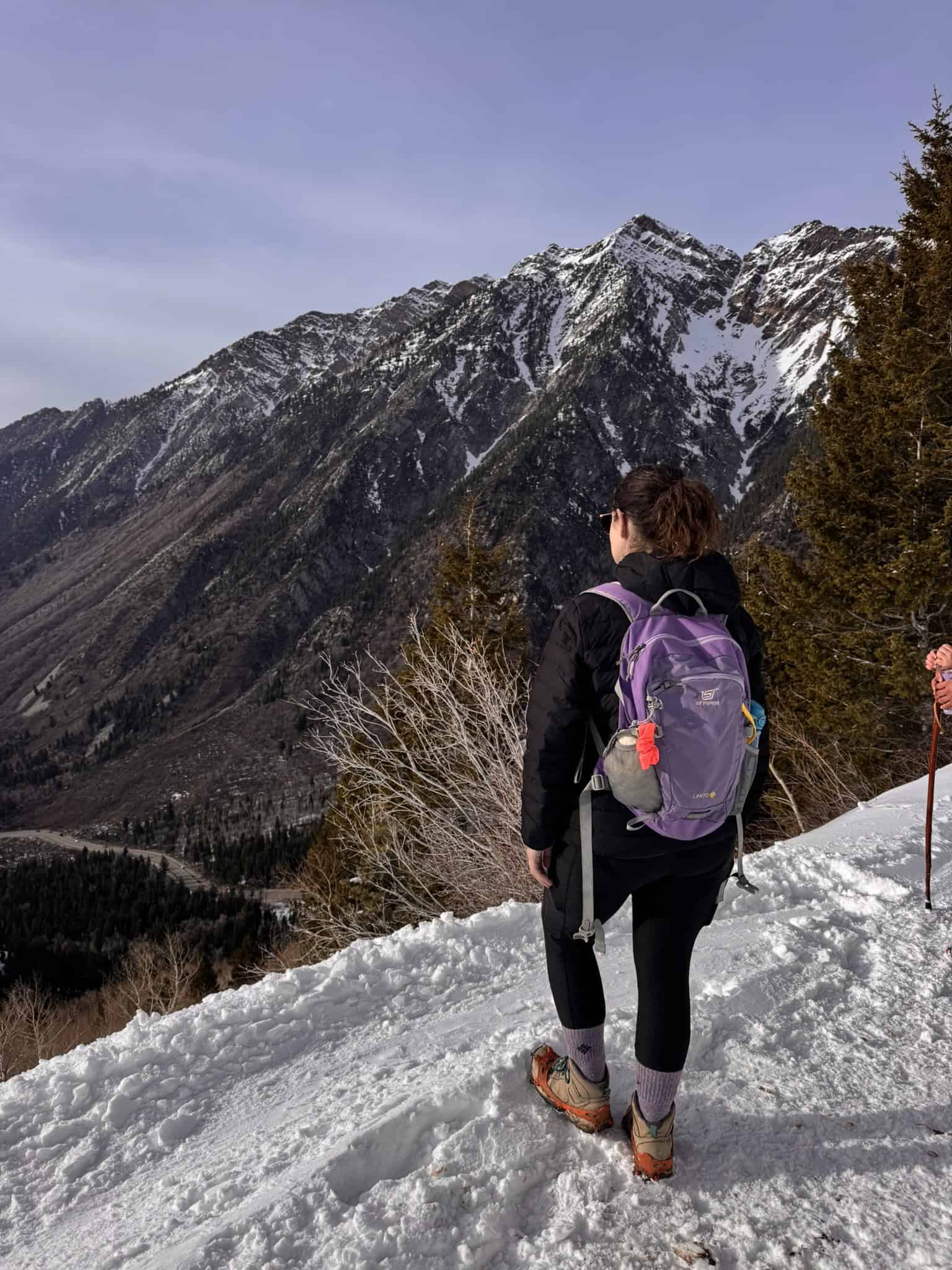 Snowy canyon overlook featuring a hiker and sweeping views of towering Wasatch peaks and forested slopes.
